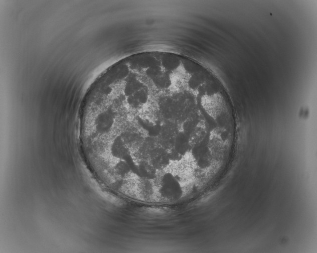 X0000111251125200907231547