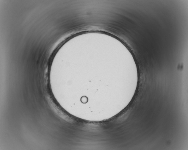 X0000111251126200907231547