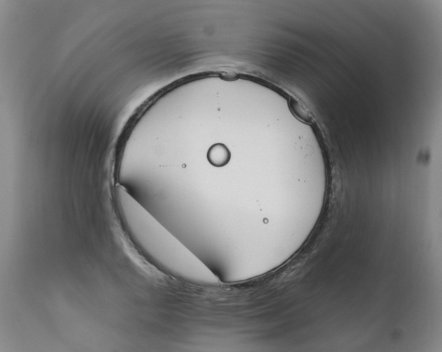 X0000111251128200907231547