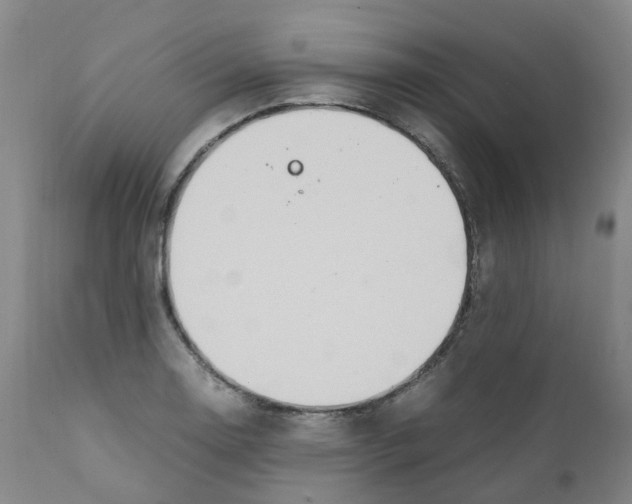 X0000111251130200907231547