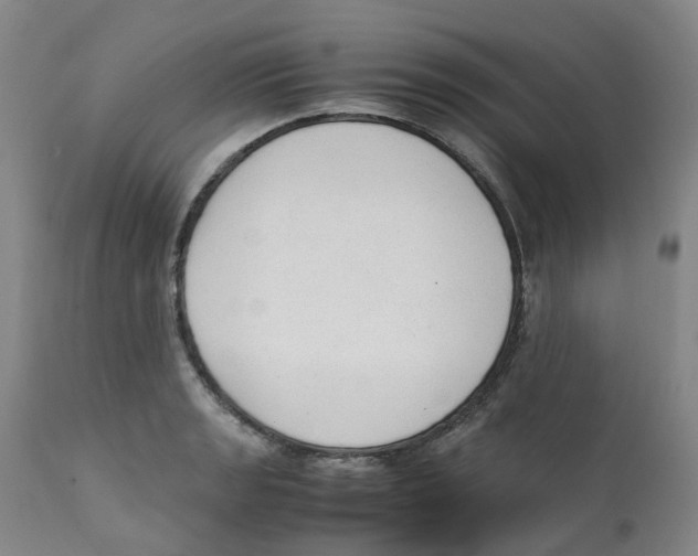 X0000111251133200907231547