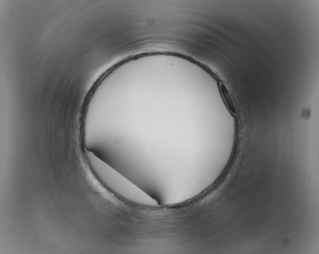 X0000111251134200907231547