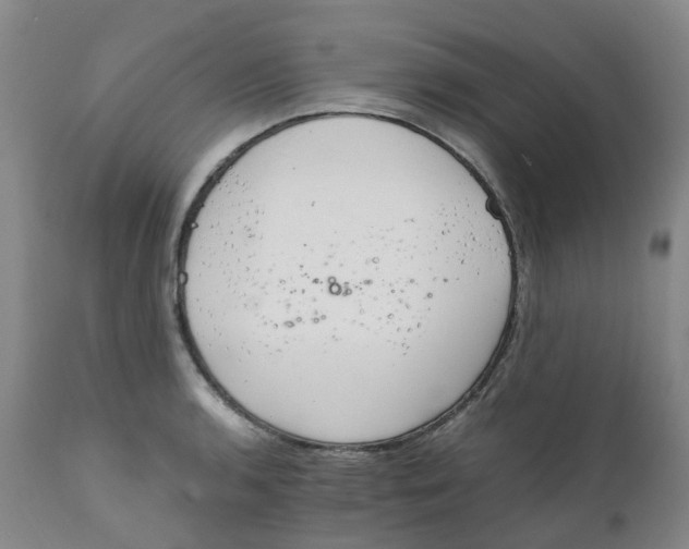 X0000111251136200907231547