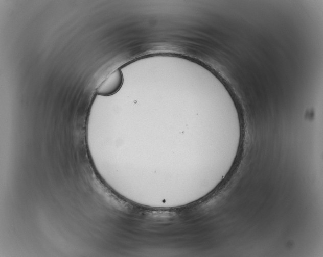 X0000111251137200907231547