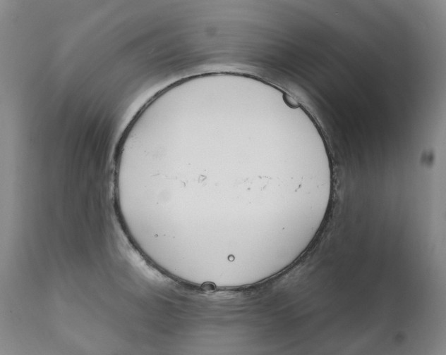 X0000111251140200907231547