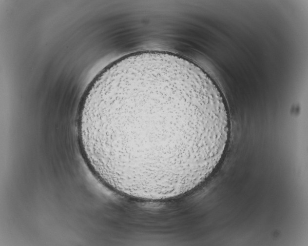 X0000111251141200907231547