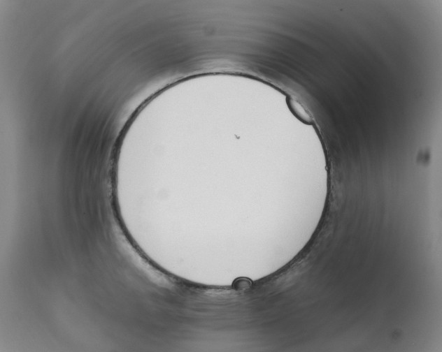 X0000111251142200907231547