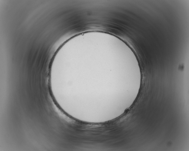 X0000111251143200907231547