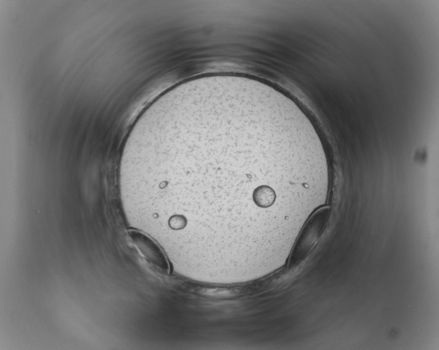 X0000111251145200907231547