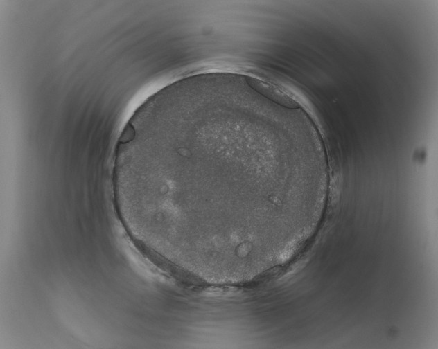 X0000111251146200907231547