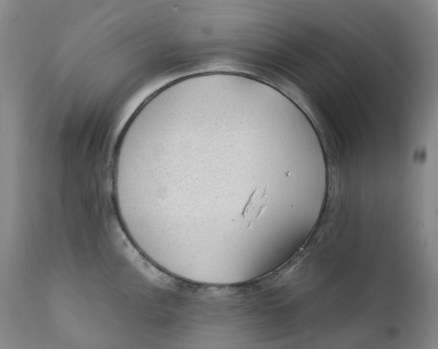 X0000111251148200907231547