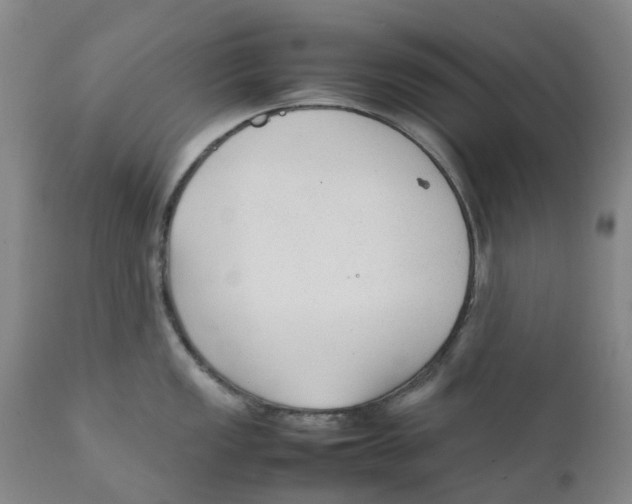 X0000111251149200907231547