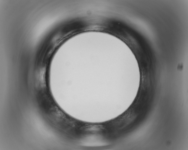 X0000111251150200907231547