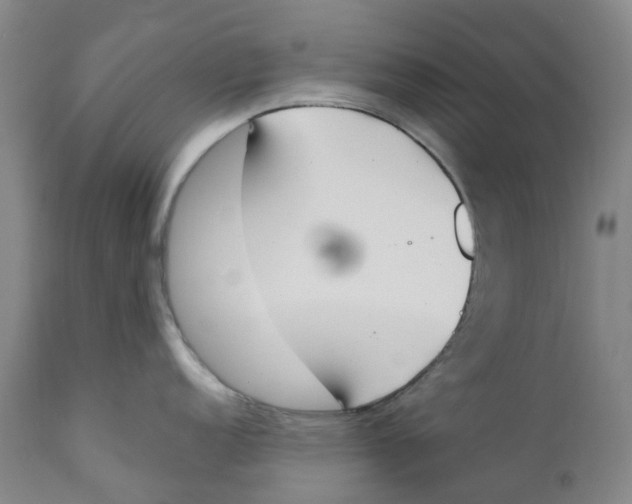 X0000111251152200907231547