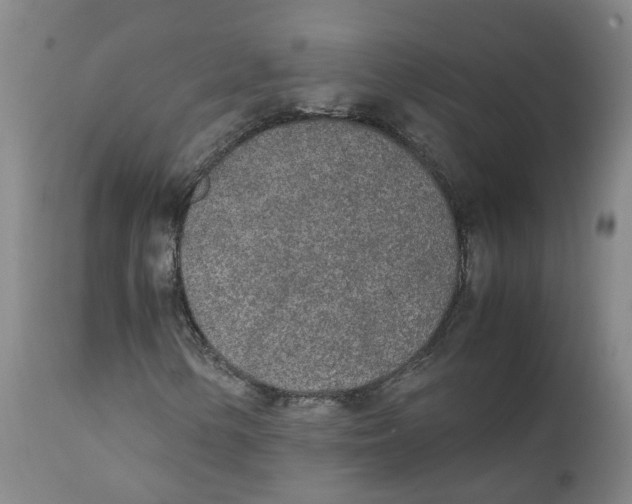 X0000111251154200907231546