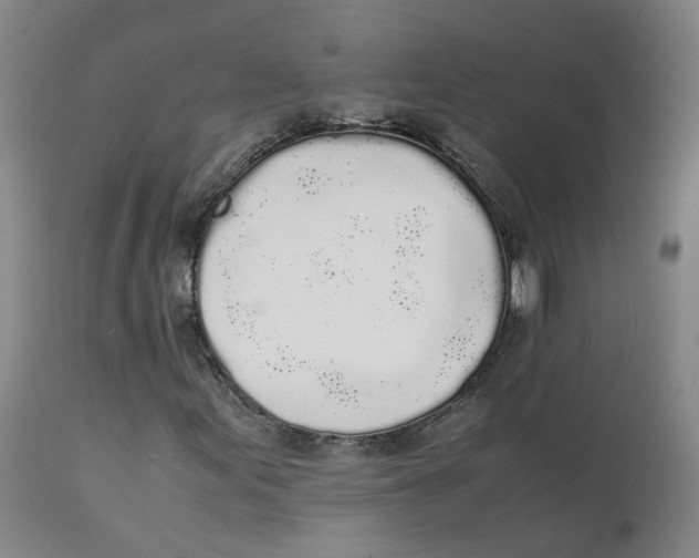 X0000111251155200907231546