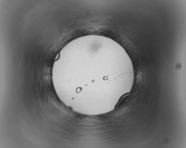 X0000111251156200907231546