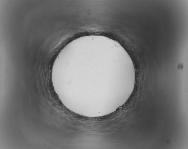 X0000111251157200907231546