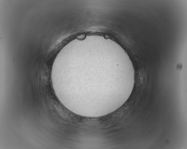 X0000111251158200907231546