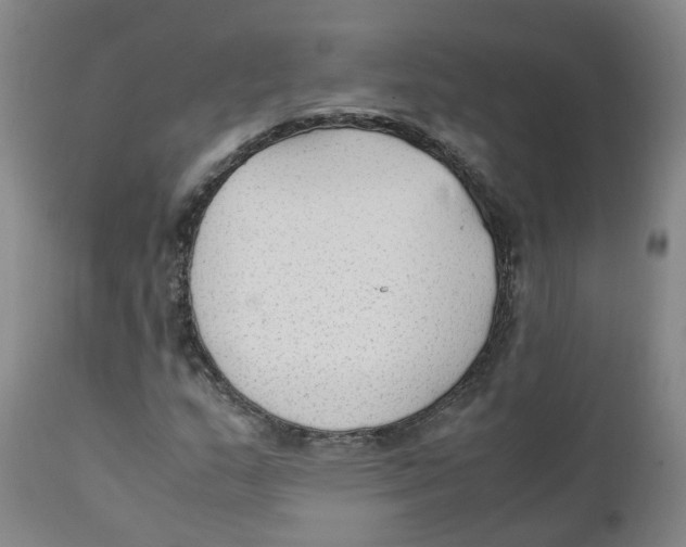 X0000111251159200907231546