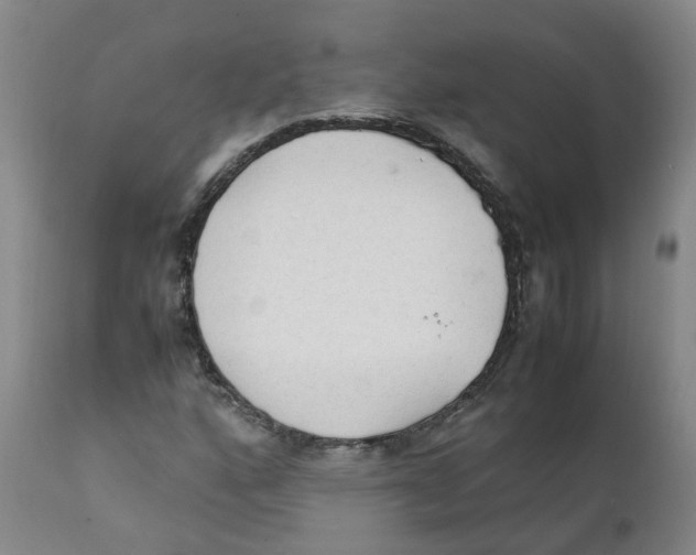 X0000111251160200907231546