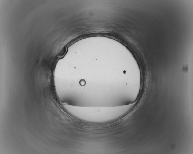 X0000111251161200907231546