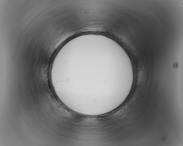 X0000111251162200907231546