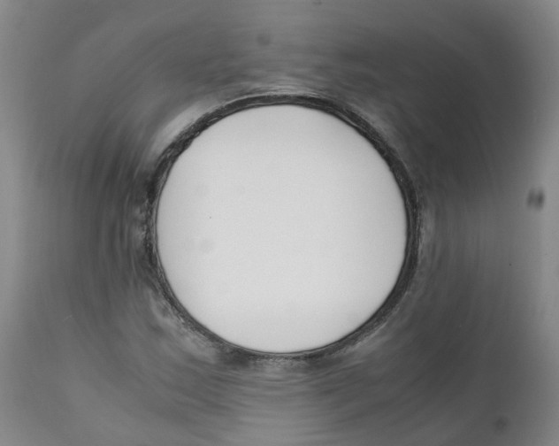 X0000111251163200907231546