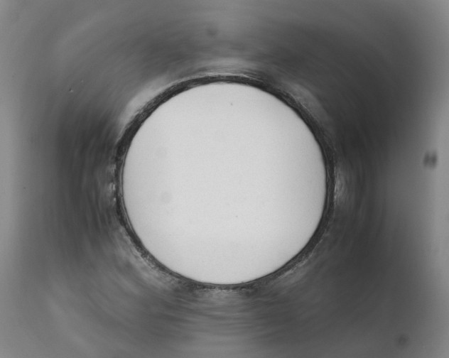 X0000111251164200907231546