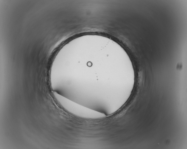 X0000111251165200907231546