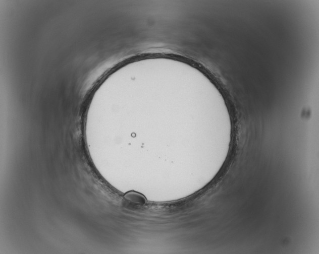 X0000111251167200907231546