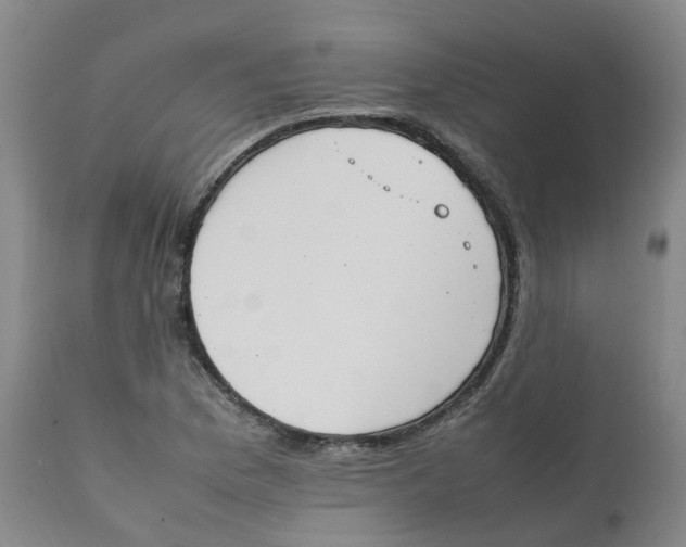 X0000111251169200907231546