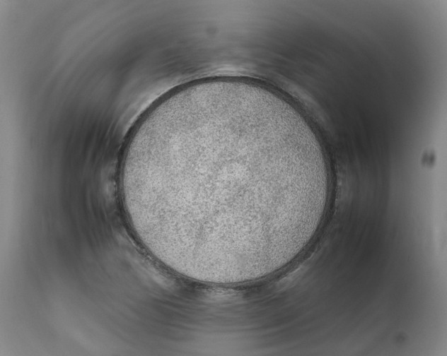 X0000111251170200907231546