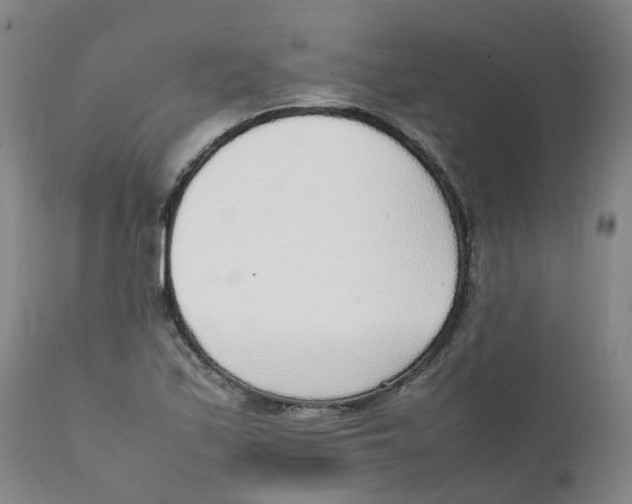 X0000111251171200907231546