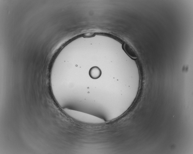 X0000111251173200907231546