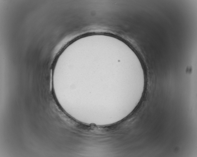 X0000111251175200907231546