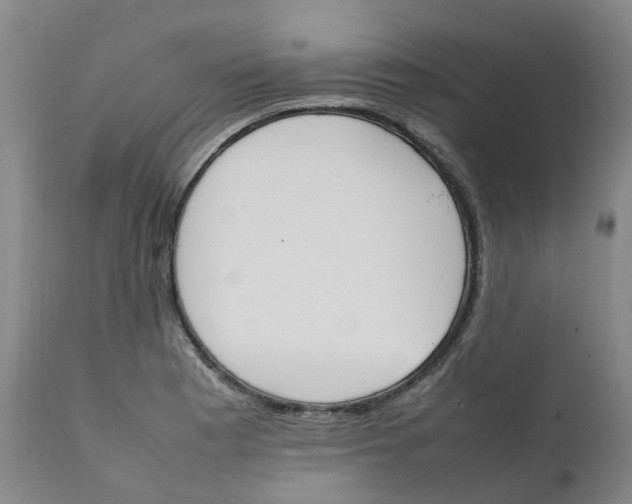 X0000111251177200907231546