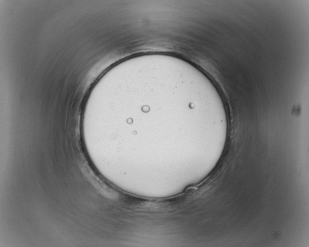 X0000111251179200907231546