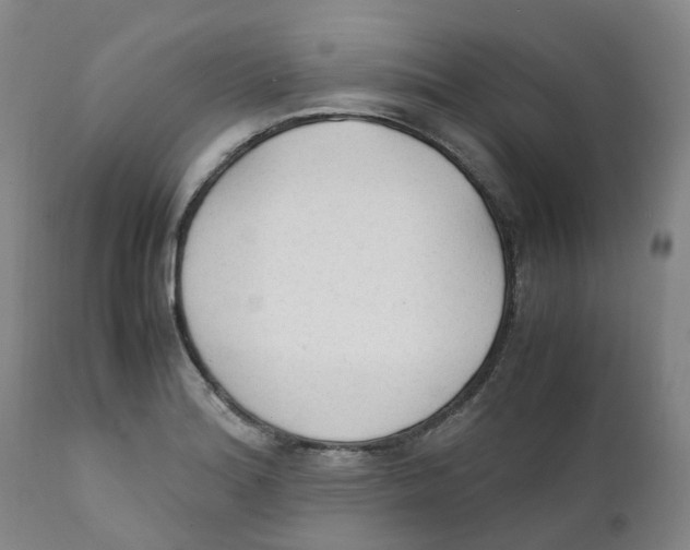 X0000111251180200907231546