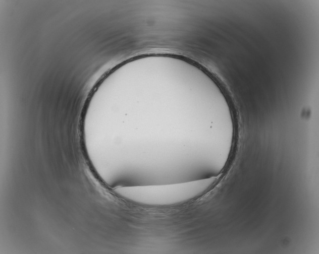 X0000111251181200907231546