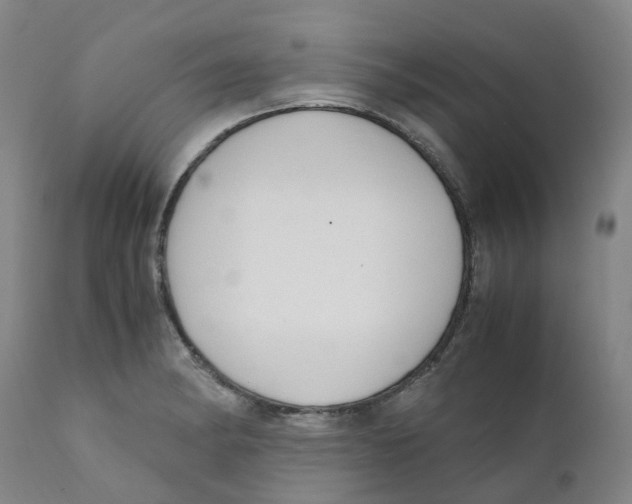 X0000111251182200907231546