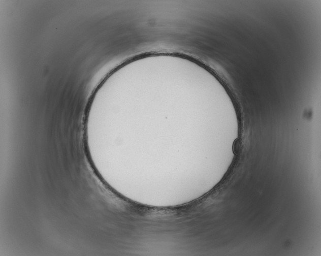 X0000111251183200907231546