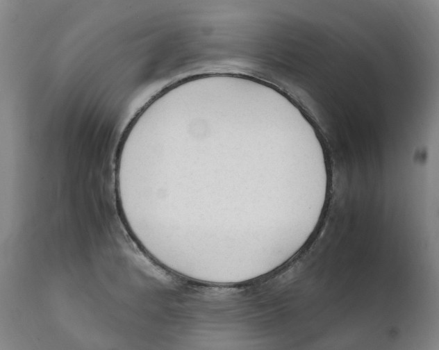 X0000111251184200907231546