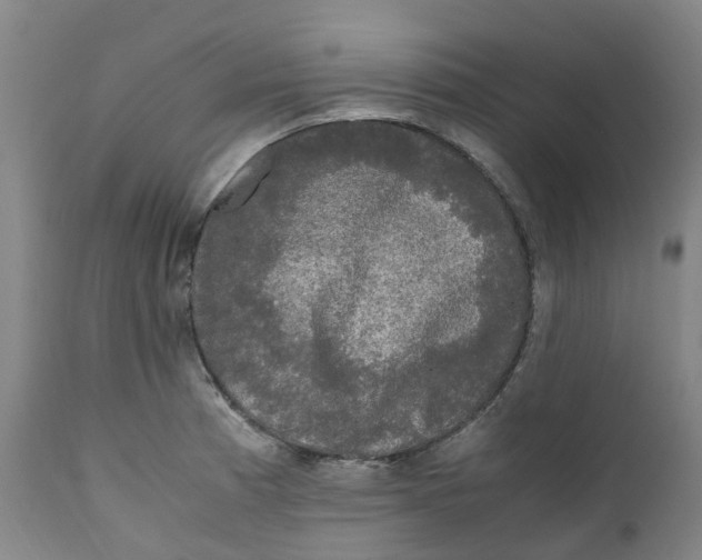 X0000111251185200907231546