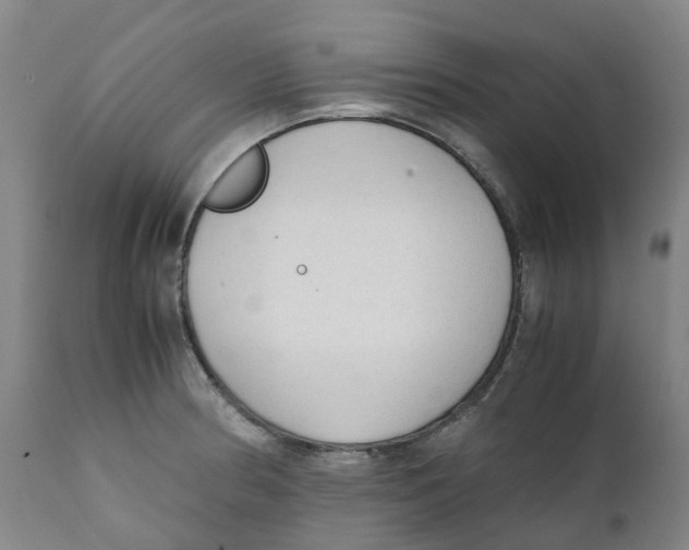 X0000111251186200907231546