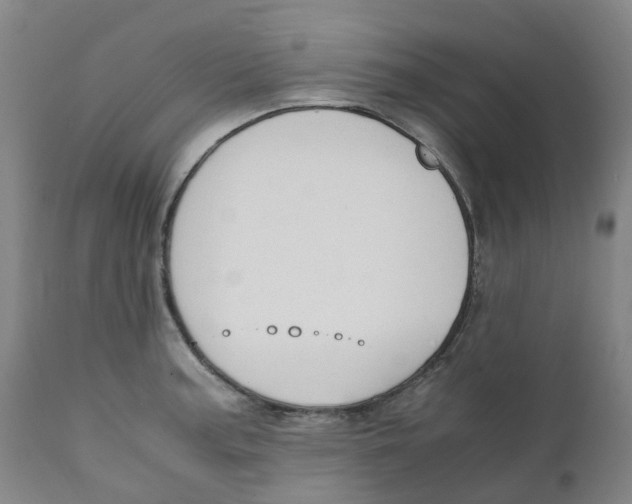 X0000111251187200907231546