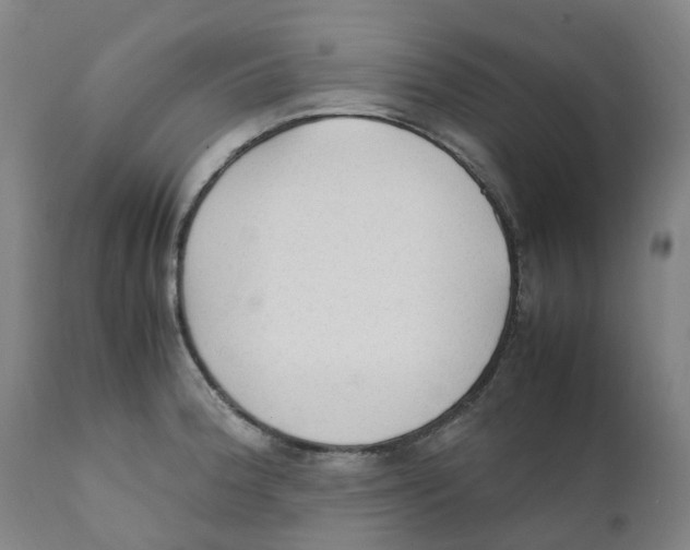 X0000111251188200907231546