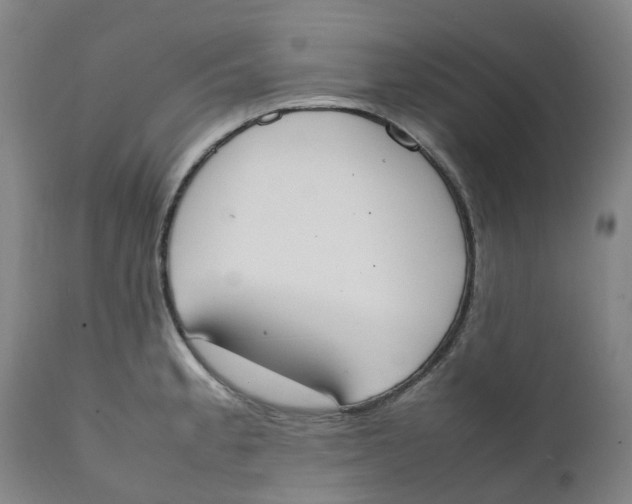 X0000111251189200907231546