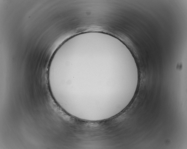 X0000111251190200907231546