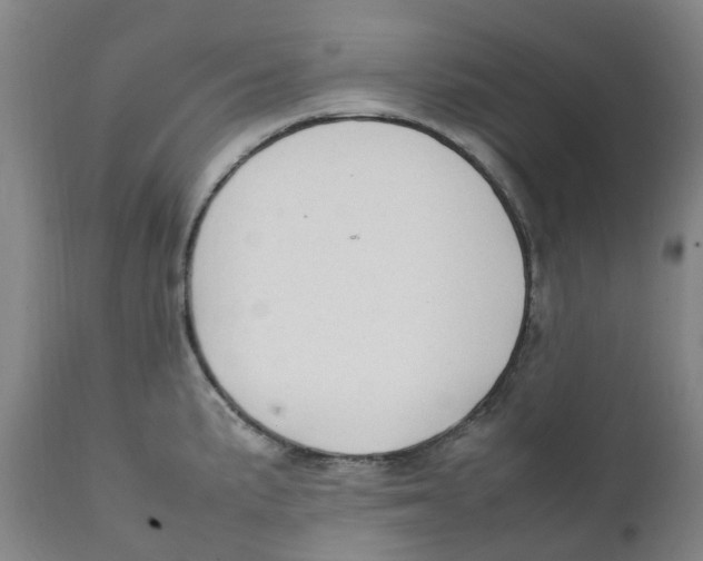 X0000111251191200907231546